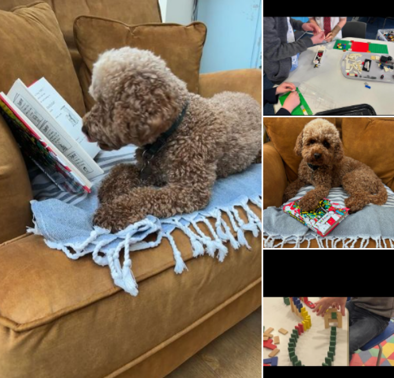 Read with Rosie - it's back!